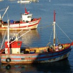 Fishing_boats_in_Brittany
